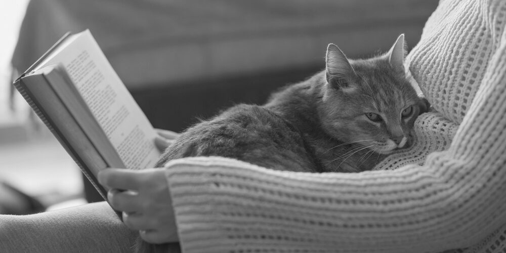 shutterstock_553563316