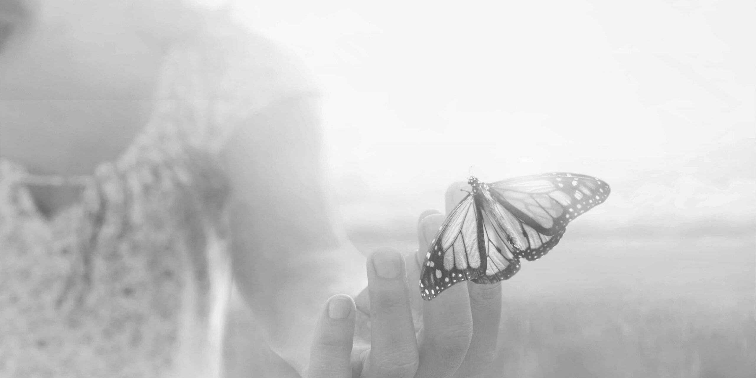 mariposa