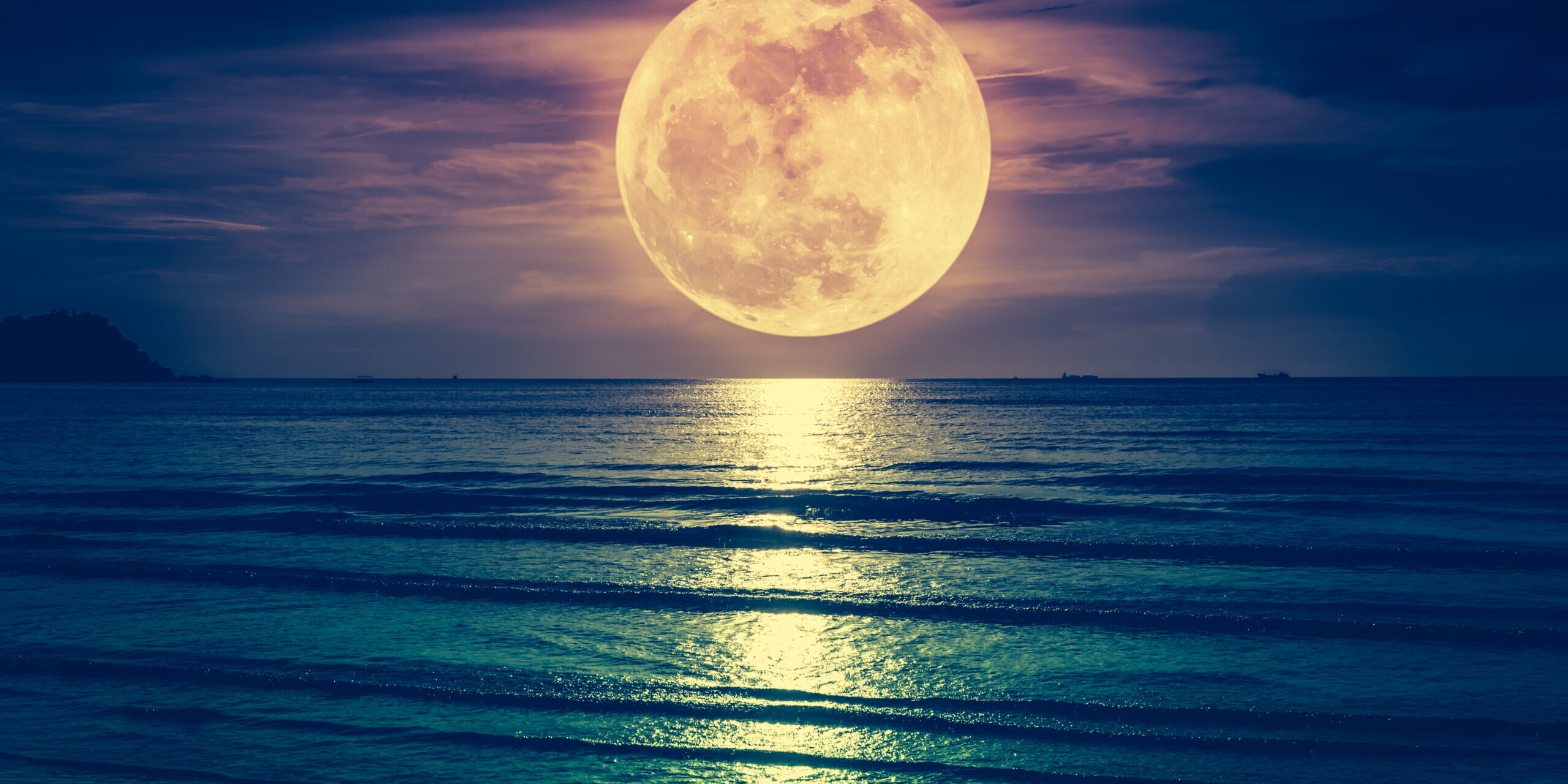 shutterstock_1044034966