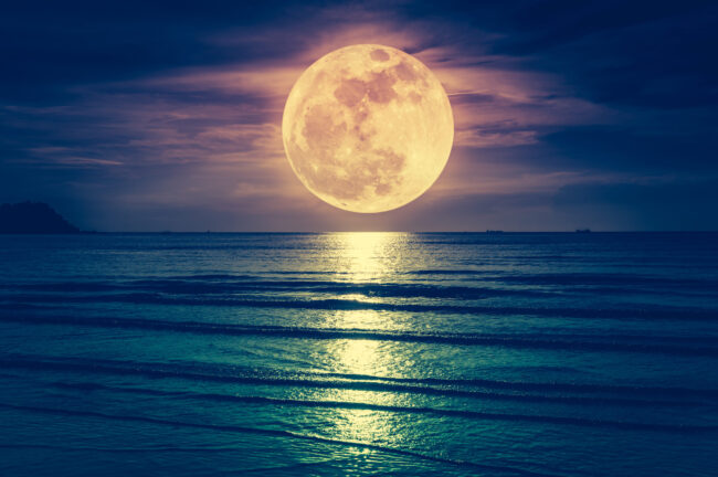 shutterstock_1044034966
