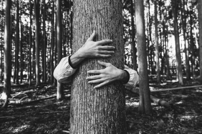 Man,Hugging,Tree,Bark
