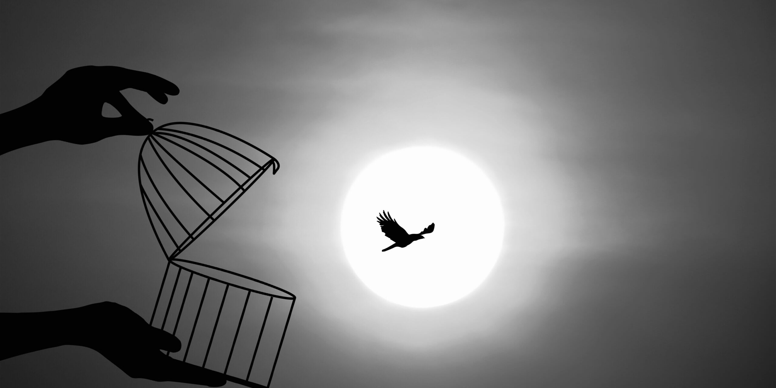 Bird,Flying,Out,Of,Cage,,Freedom,Concept,,Freeing,Bird,From