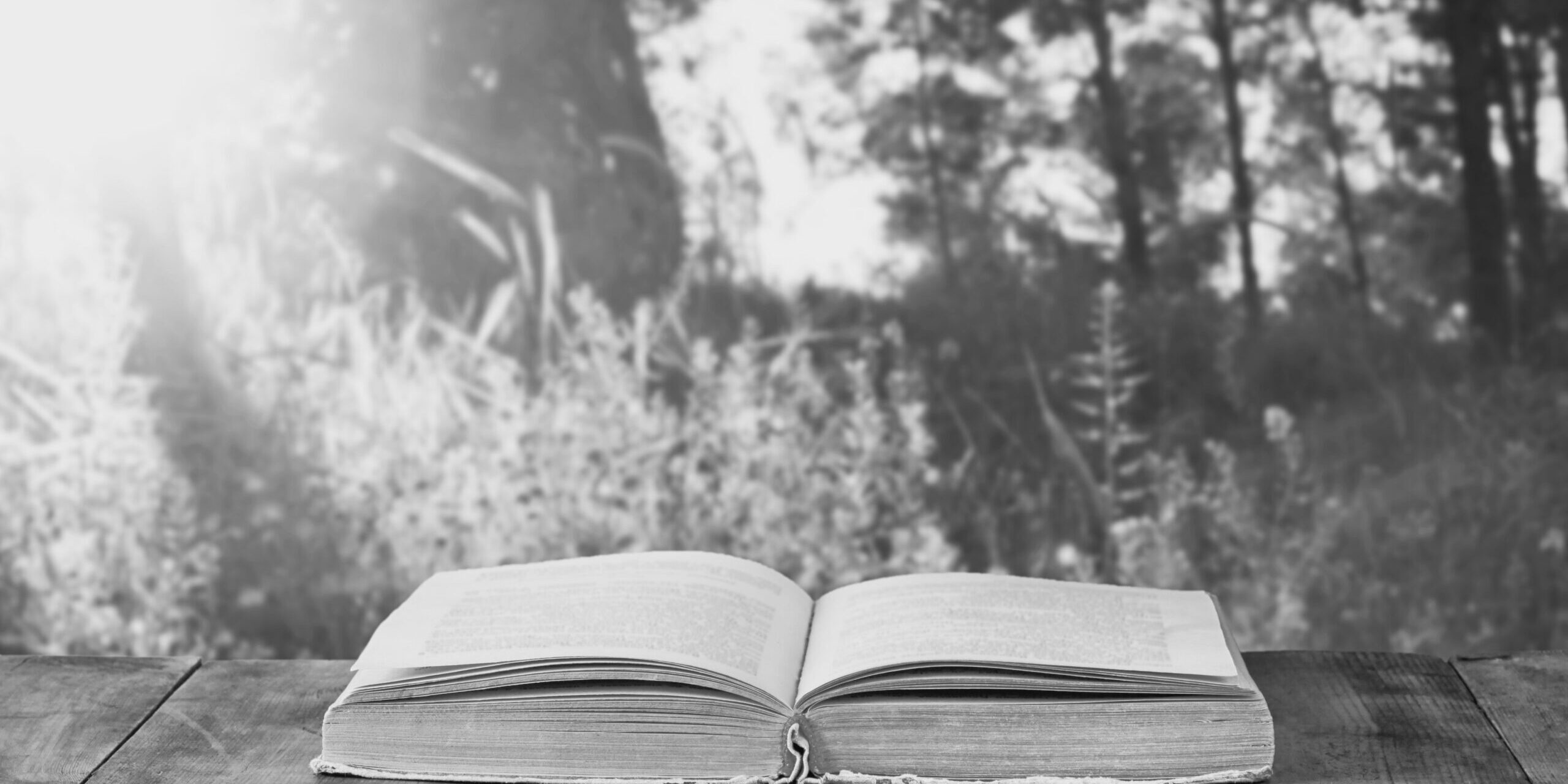 Open,Book,Over,Wooden,Rustic,Table,In,Front,Of,Wild