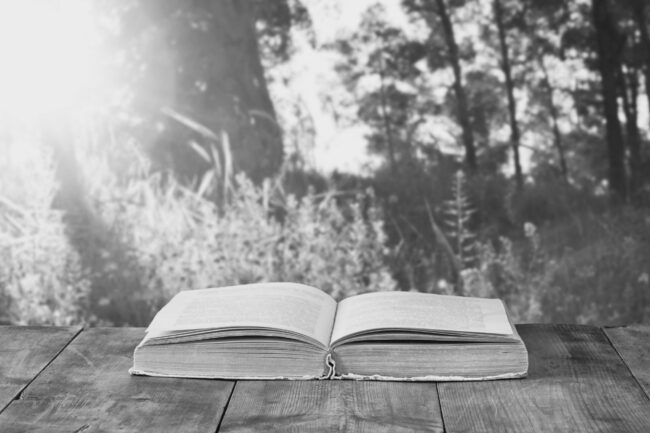 Open,Book,Over,Wooden,Rustic,Table,In,Front,Of,Wild