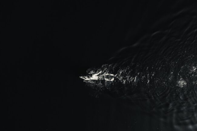 Man,With,A,Beautiful,Body,Swims,In,The,Lake
