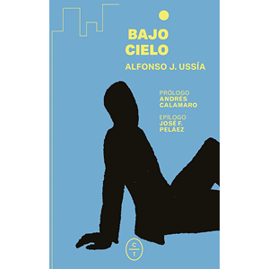 Bajo cielo